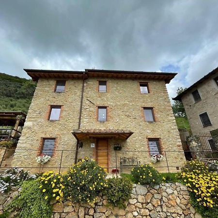 B&B Il Volo Camaiore Exterior foto