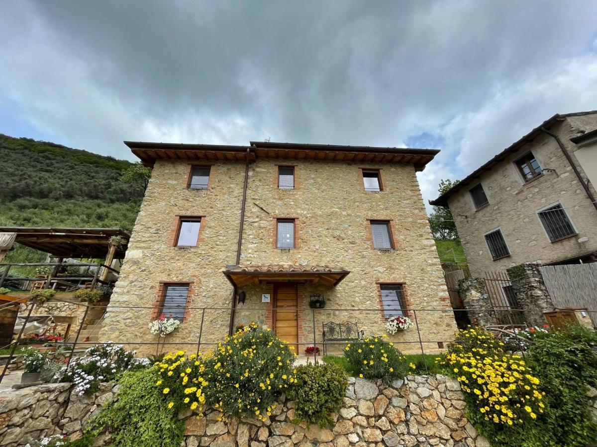 B&B Il Volo Camaiore Exterior foto