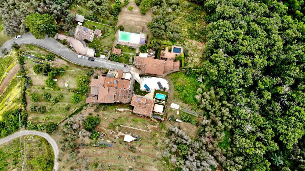 B&B Il Volo Camaiore Exterior foto